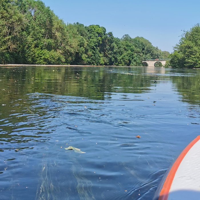 Vue depuis un paddle sur le Loiret, en direction du pont de pierre